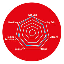 Load image into Gallery viewer, ENDURO - CAPRA R